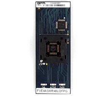 FVE4ASMR48LQFPG Image