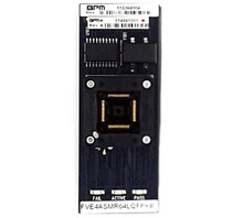 FVE4ASMR64LQFPTA Image