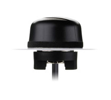 WS.03.B.305151 Image