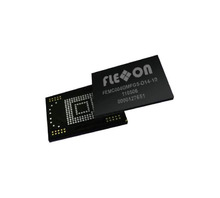 FEMC004GTTG7-T13-16 Image