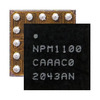 NPM1100-CAAA-R Image
