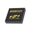 BGM121N256V2R Image